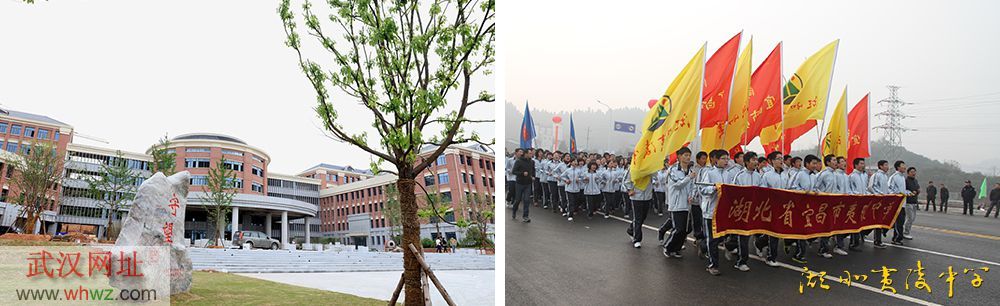 1552469852345545.jpg tu2.jpg