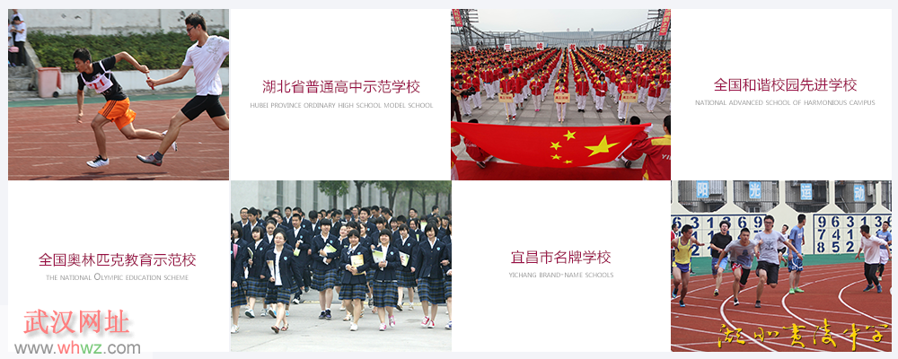 1552460293117244.png jianjie.png